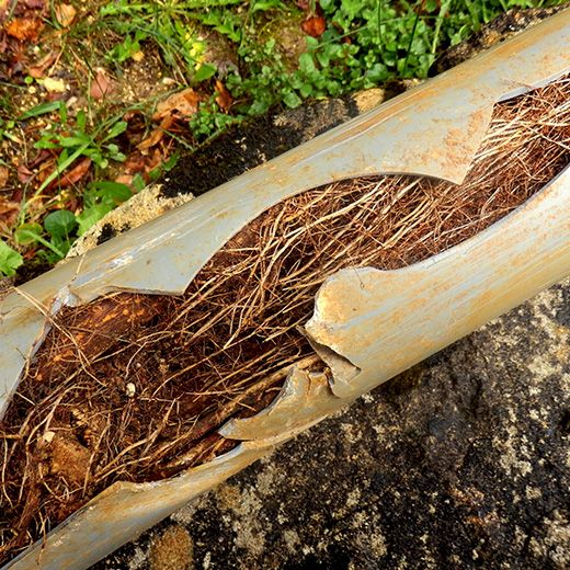 Same Day Drain Sewer & Rooter Pros Across Somersworth